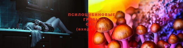 СК Белокуриха