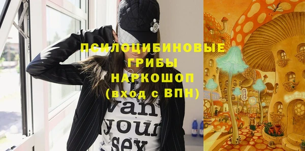 СК Белокуриха