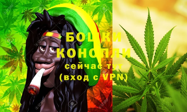 прущие грибы Белоозёрский
