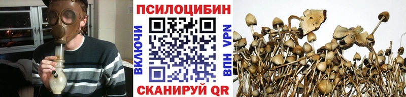 Галлюциногенные грибы GOLDEN TEACHER цены наркотик Купино