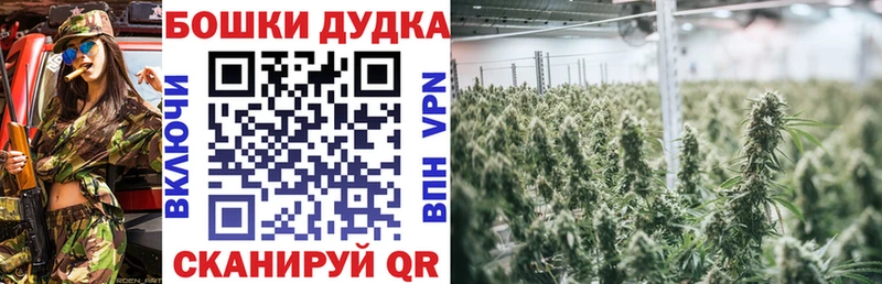 где найти   Купино  гидра рабочий сайт  Шишки марихуана ГИДРОПОН 